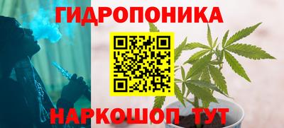 ПСИЛОЦИБИНОВЫЕ ГРИБЫ Кинель