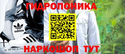 ПСИЛОЦИБИНОВЫЕ ГРИБЫ Кинель