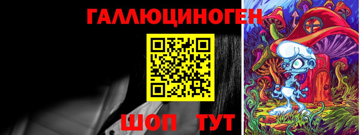 Псилоцибиновые грибы Psilocybe Феодосия
